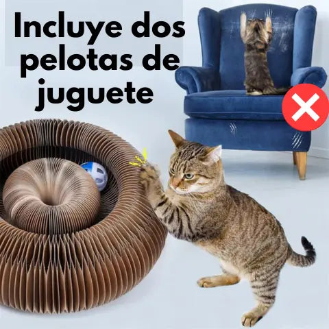 RascaJoy™ Original + Regalo dos pelotas
