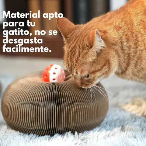 RascaJoy™ Original + Regalo dos pelotas